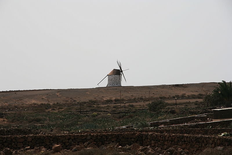 Kanary_2010 179